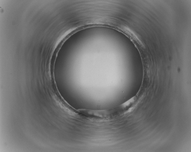 X0000071950884200607282005