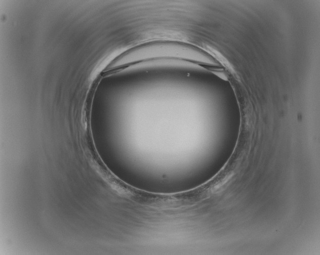 X0000071950885200607282005