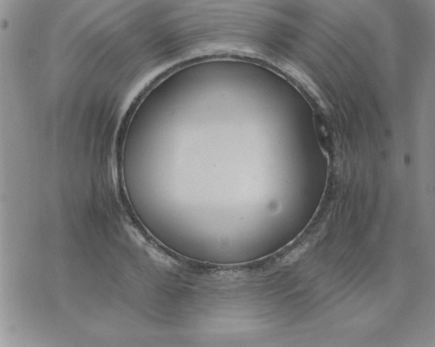 X0000071950888200607282005