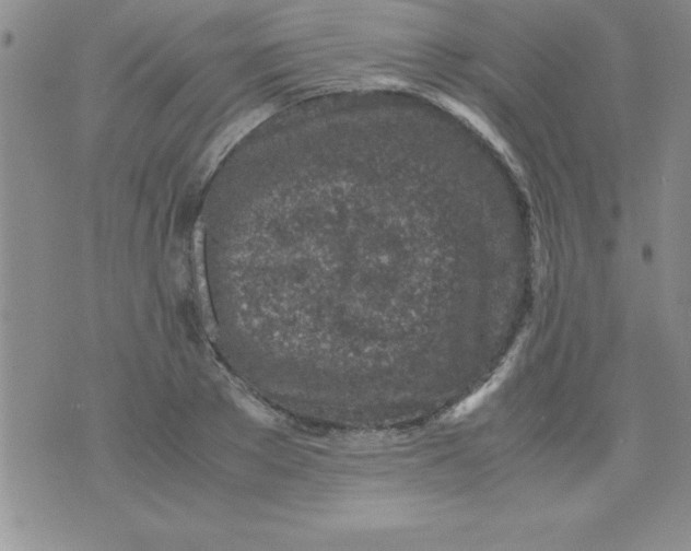 X0000071950889200607282005