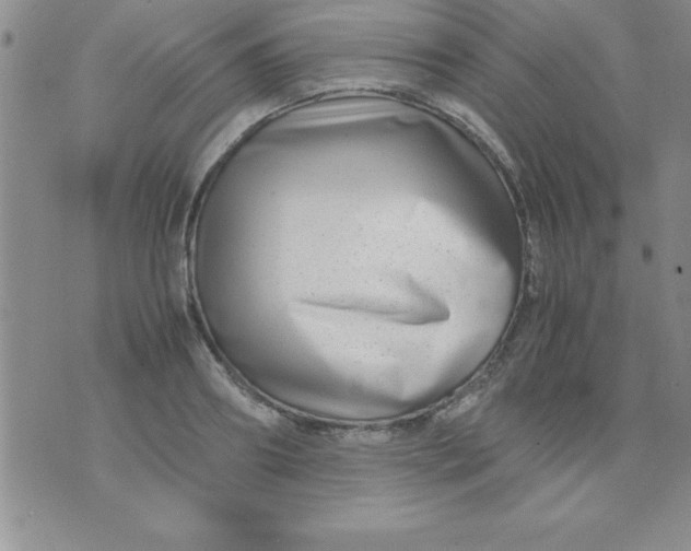 X0000071950890200607282005