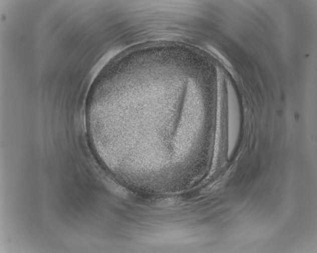 X0000071950891200607282005