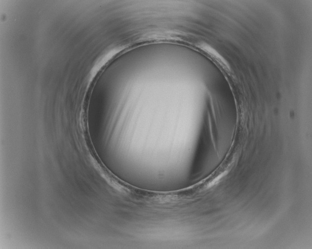 X0000071950893200607282005