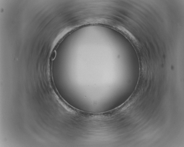 X0000071950894200607282005