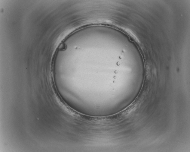 X0000071950895200607282005