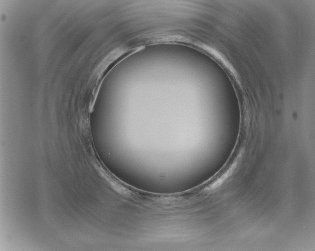 X0000071950897200607282005