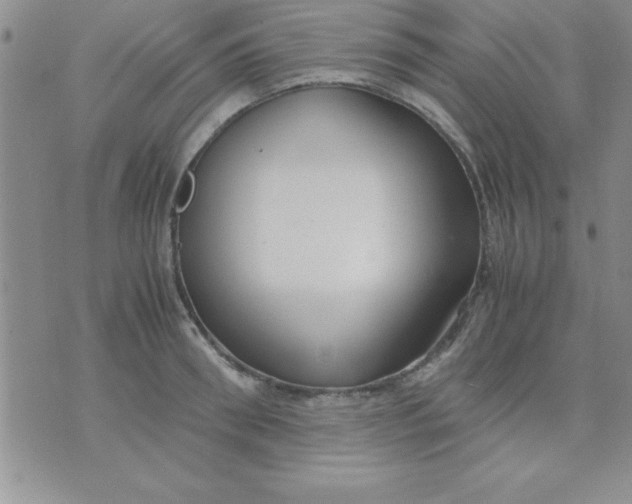 X0000071950898200607282005