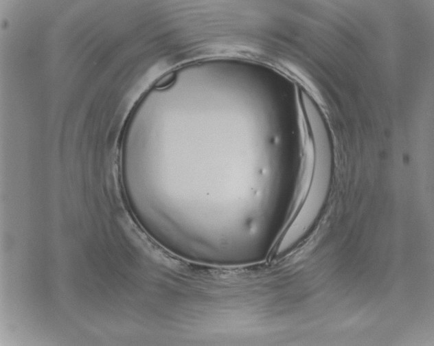 X0000071950899200607282005