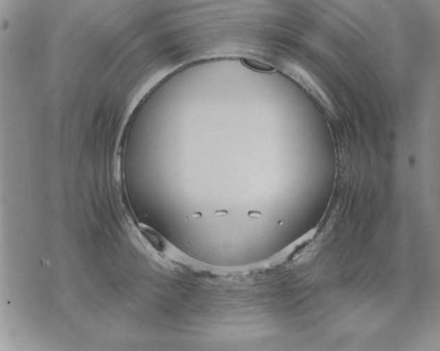 X0000071950900200607282005