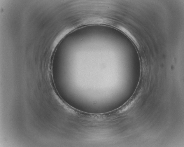 X0000071950901200607282005