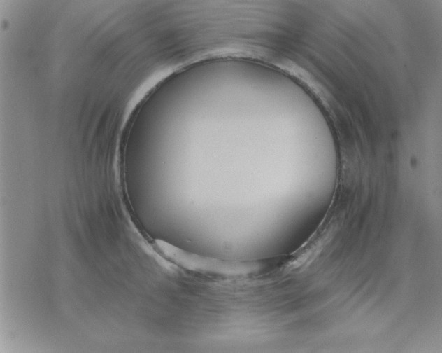 X0000071950902200607282005