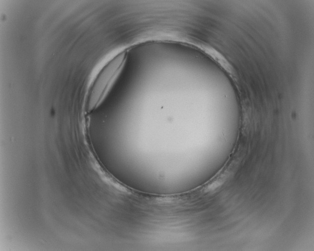 X0000071950904200607282005