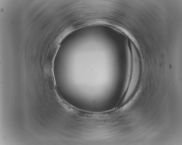 X0000071950905200607282005