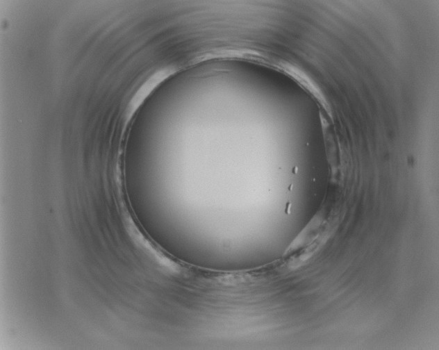 X0000071950906200607282005