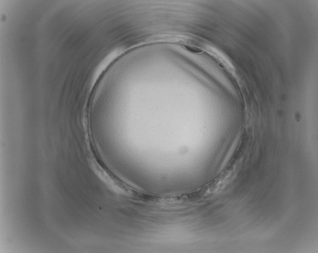 X0000071950907200607282005