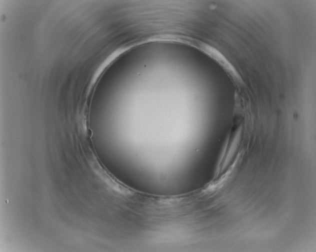 X0000071950908200607282005