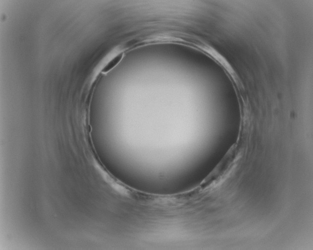 X0000071950909200607282005