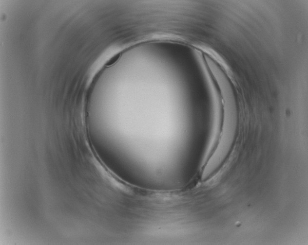 X0000071950910200607282005