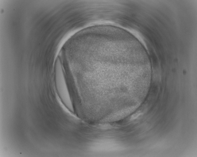 X0000071950911200607282005