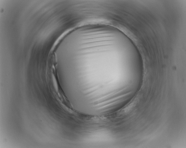 X0000071950912200607282005