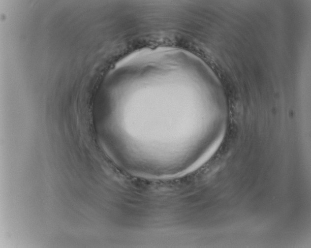 X0000071950913200607282004