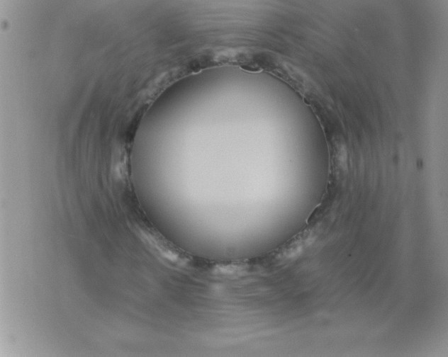 X0000071950914200607282004