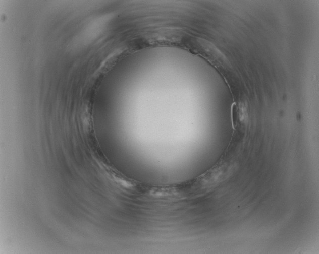 X0000071950915200607282004