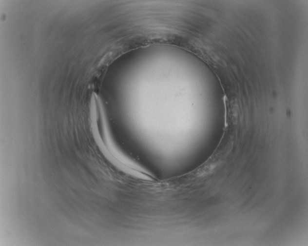 X0000071950916200607282004