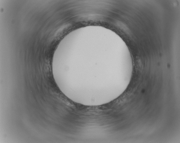 X0000071950918200607282004