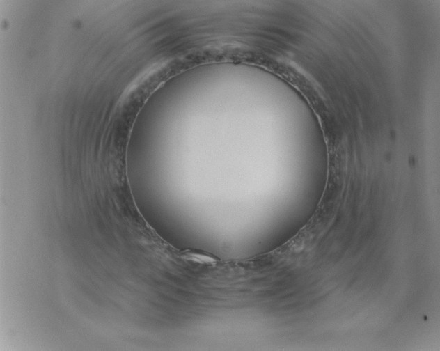 X0000071950919200607282004