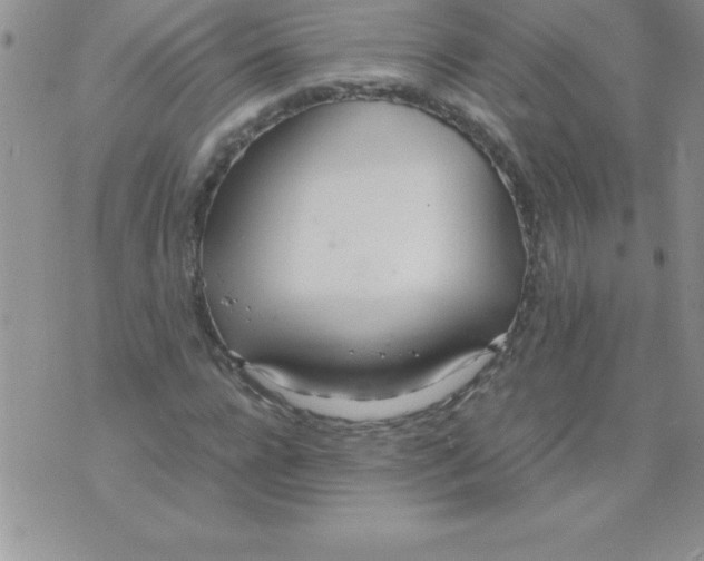 X0000071950920200607282004