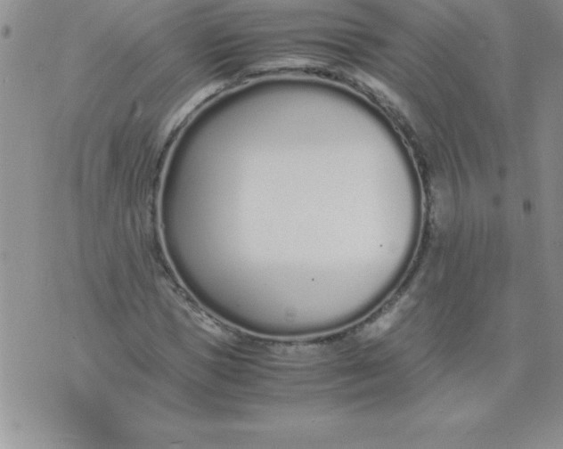 X0000071950921200607282004