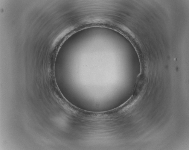 X0000071950922200607282004