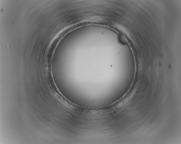 X0000071950923200607282004