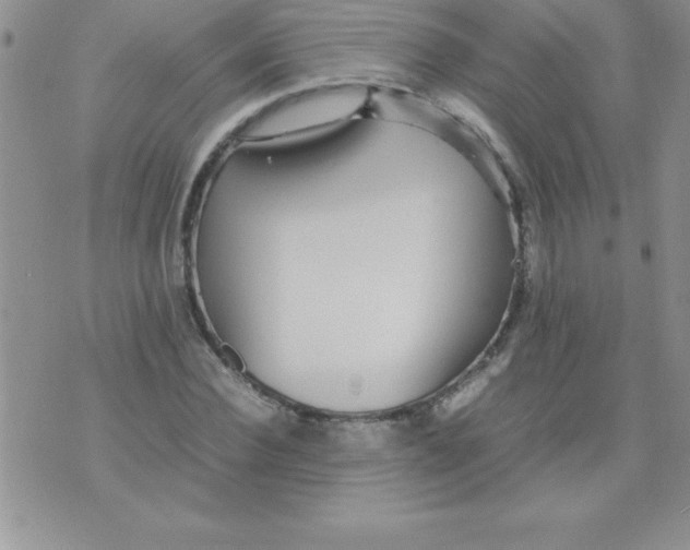 X0000071950924200607282004