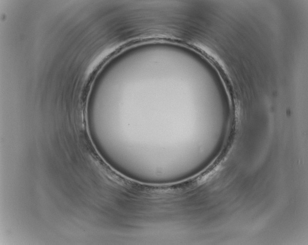 X0000071950925200607282004