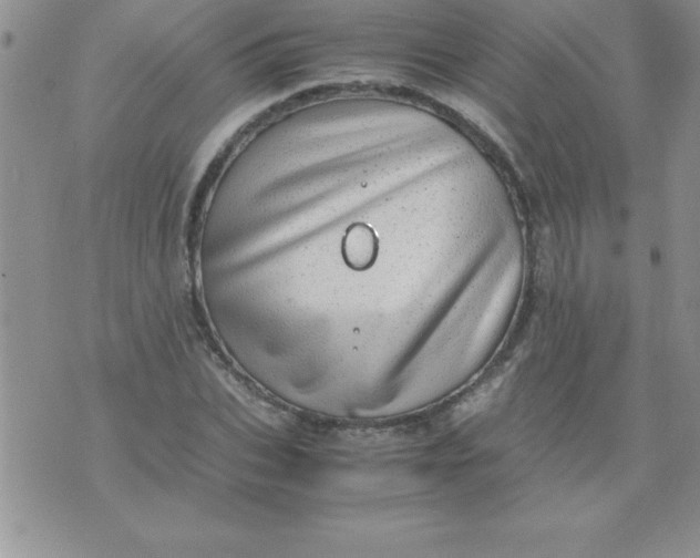 X0000071950927200607282004