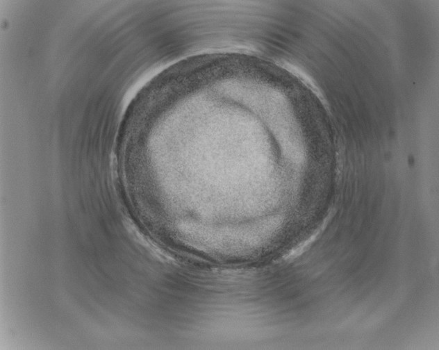 X0000071950928200607282004