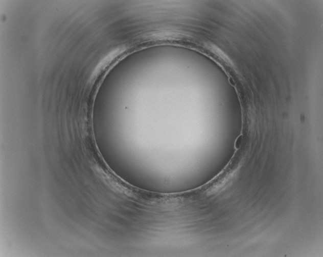 X0000071950930200607282004