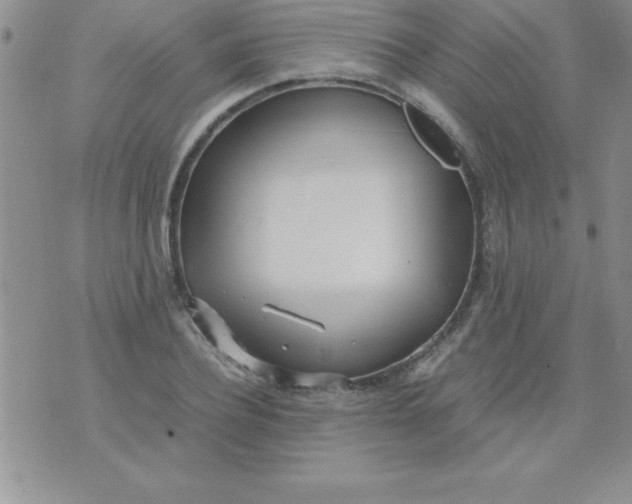 X0000071950932200607282005