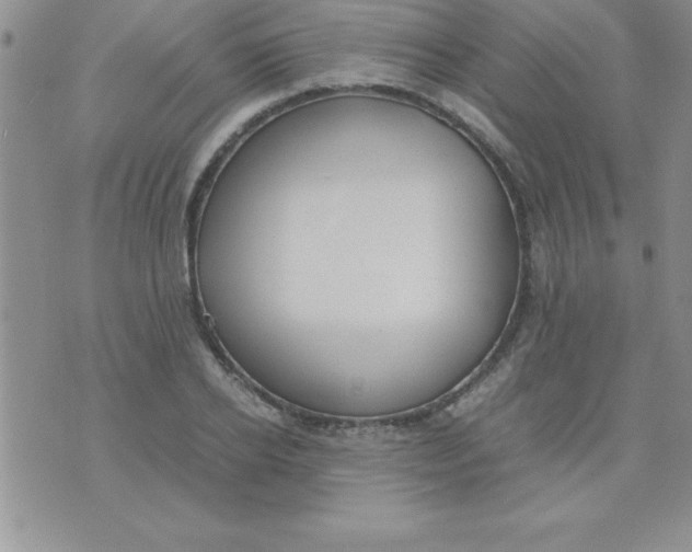 X0000071950934200607282005