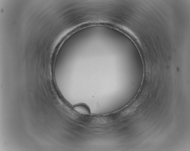 X0000071950935200607282005