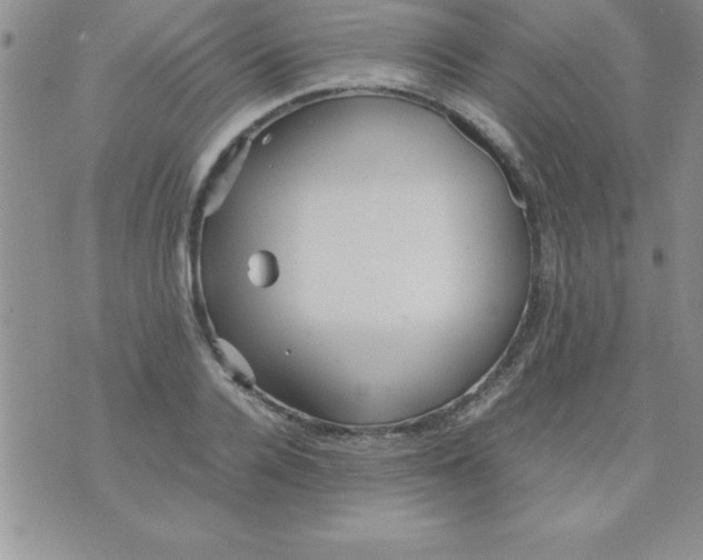 X0000071950936200607282005