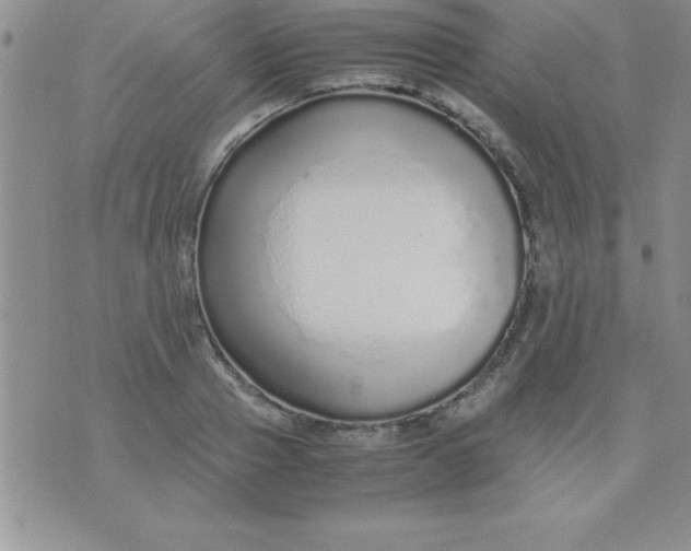 X0000071950937200607282005