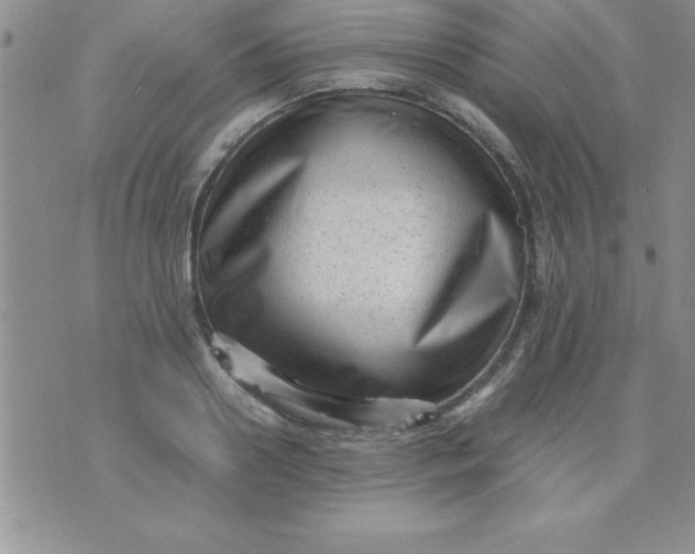 X0000071950938200607282005