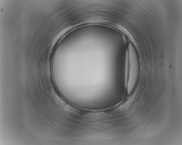 X0000071950939200607282005