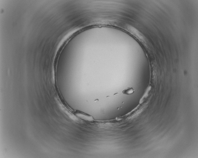 X0000071950940200607282005