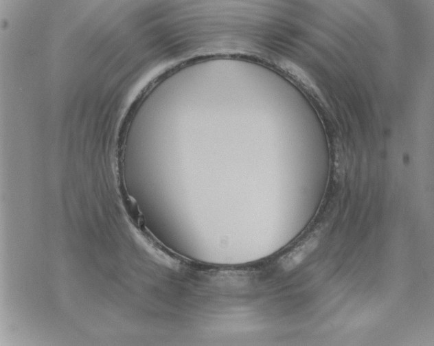 X0000071950942200607282005