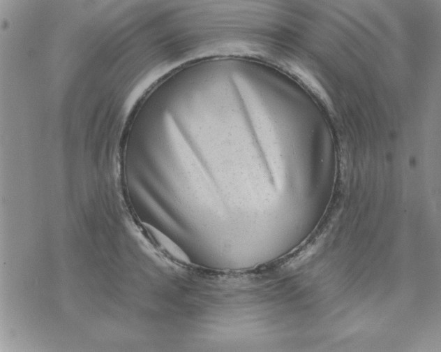 X0000071950944200607282005