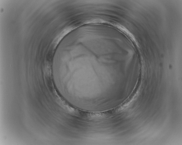 X0000071950945200607282005